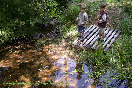 Image 16 of 18  -  72 kB